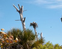 2010_Florida_StumpPass-4