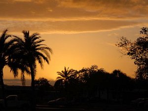 2012 Florida