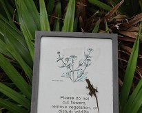 2012_CedarPointFl-2