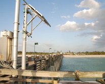 2012_SharkeysFl-3