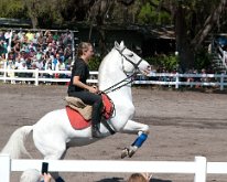 2013_LipizzanerStallions-14