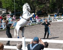 2013_LipizzanerStallions-19