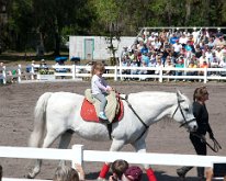 2013_LipizzanerStallions-21