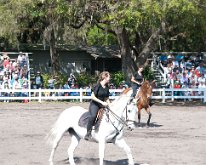 2013_LipizzanerStallions-22