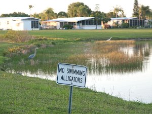 2014 Florida