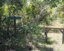 2018_Florida_OscarSchererPark_0012