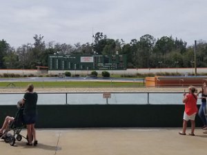 Naples Dog Track