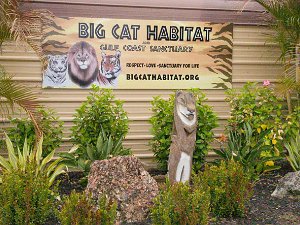 Big Cat Habitat