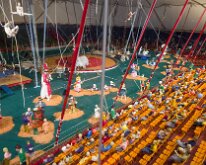 2026_RinglingCircusMuseum-12