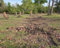 2026_TreeStumpCleanup-20