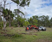 2026_TreeStumpCleanup-26