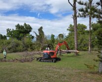 2026_TreeStumpCleanup-28