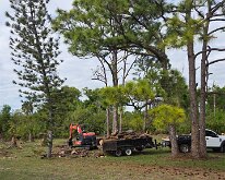 2026_TreeStumpCleanup-29