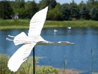 2017 MortonArboretum Oragami 0064 : Morton Arboritum